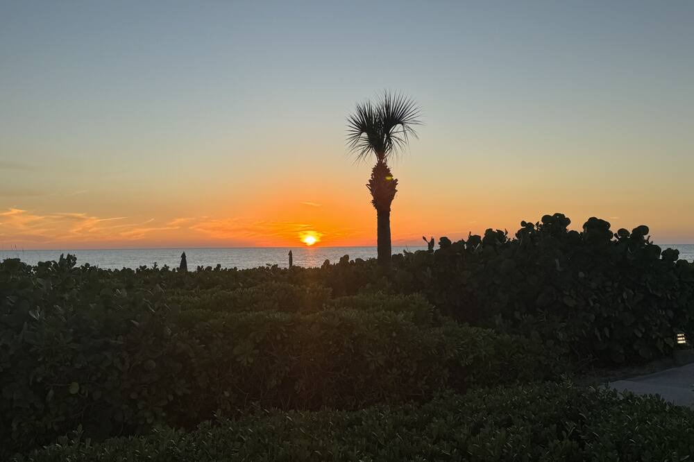Photo of Others in Longboat Key