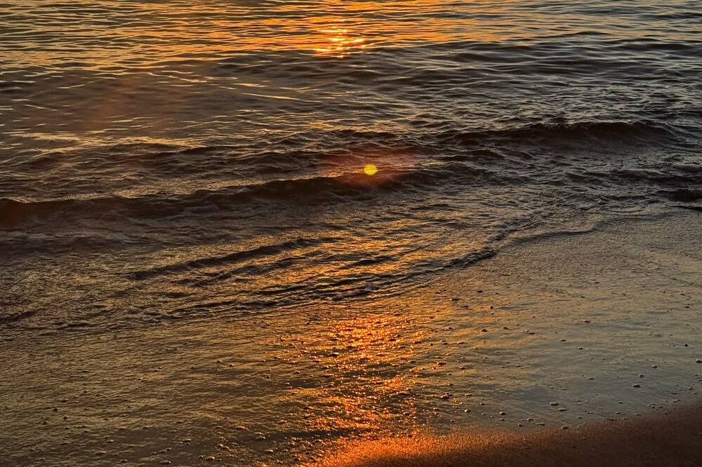 Photo of Others in Longboat Key