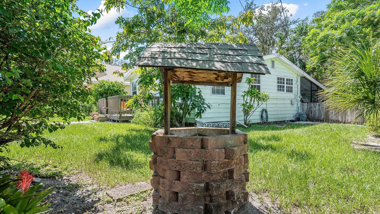 Photo of Outdoor in Safety Harbor