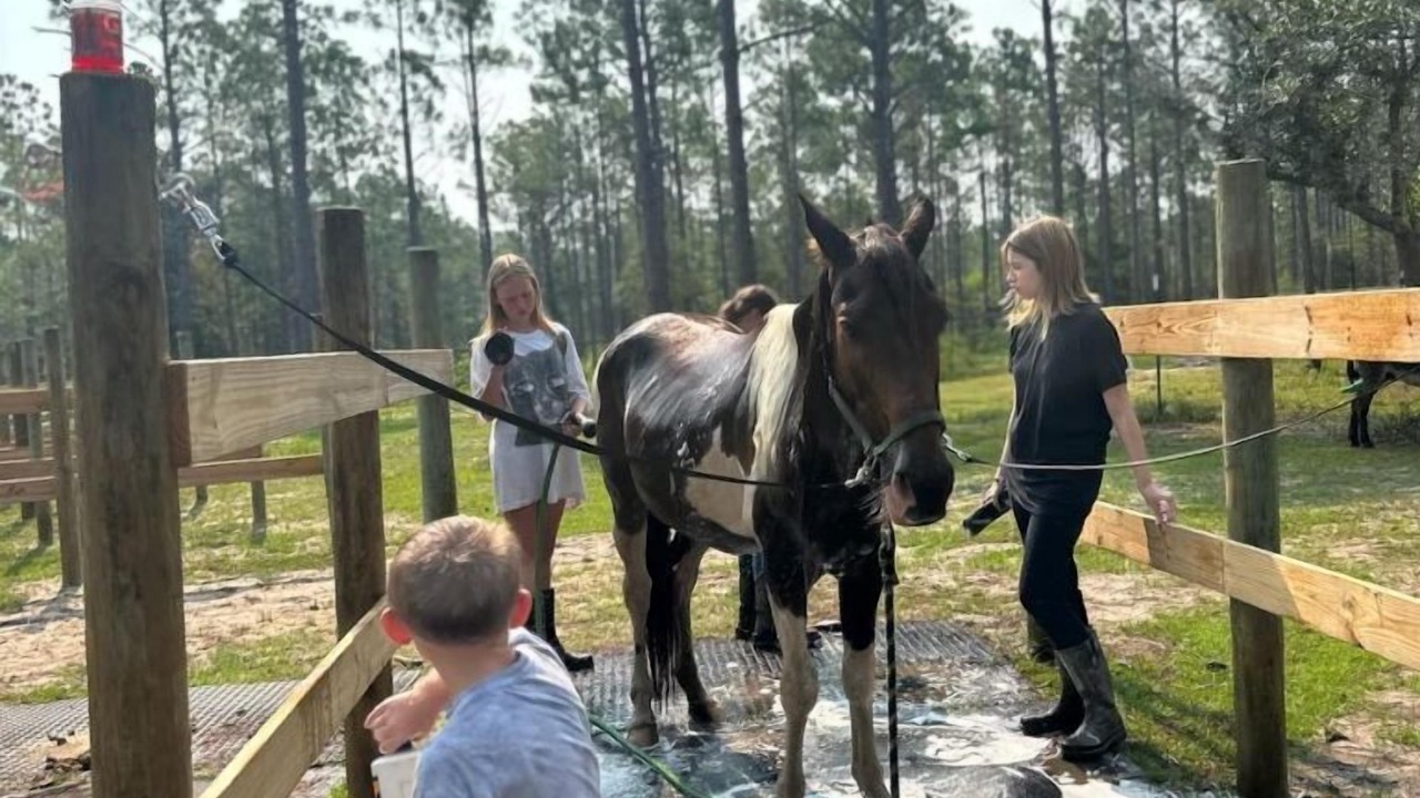 Photo of Others in Florida Panhandle