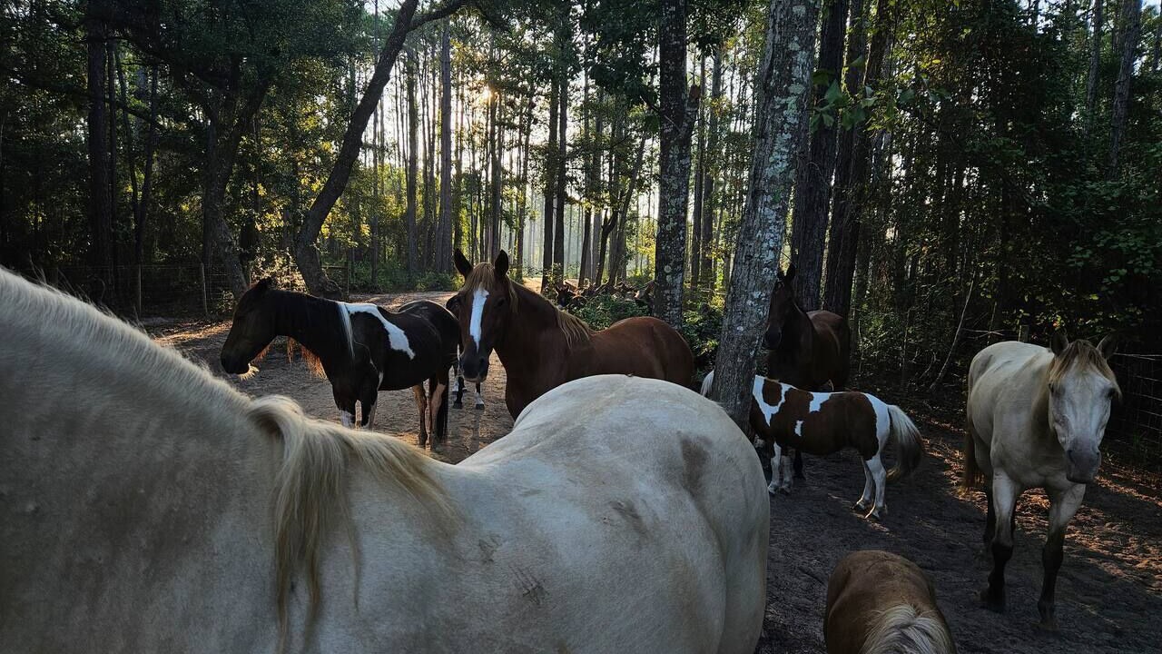 Photo of Outdoor in Florida Panhandle