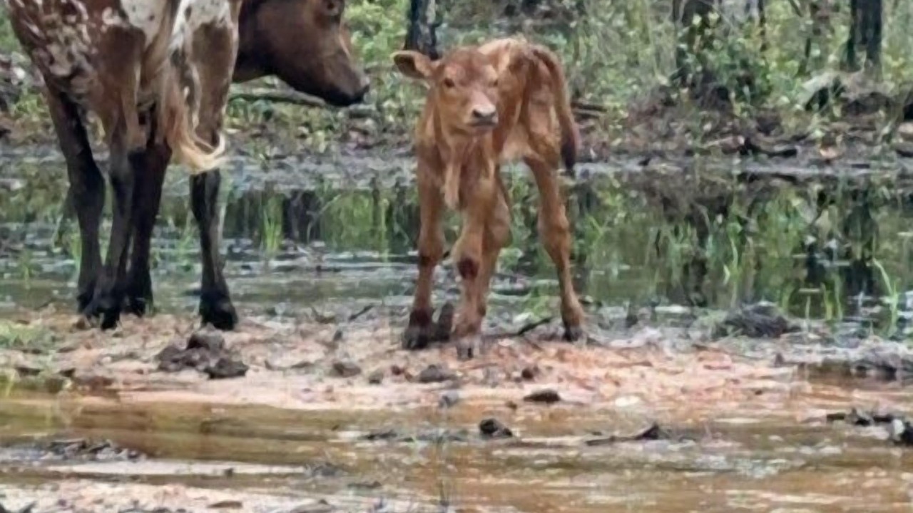 Photo of Outdoor in Florida Panhandle