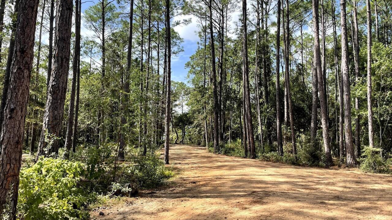 Photo of Outdoor in Florida Panhandle