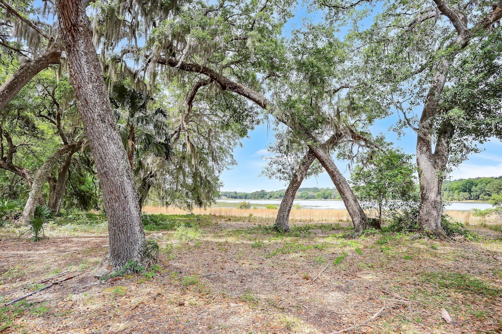 Photo of Outdoor in Ocklawaha