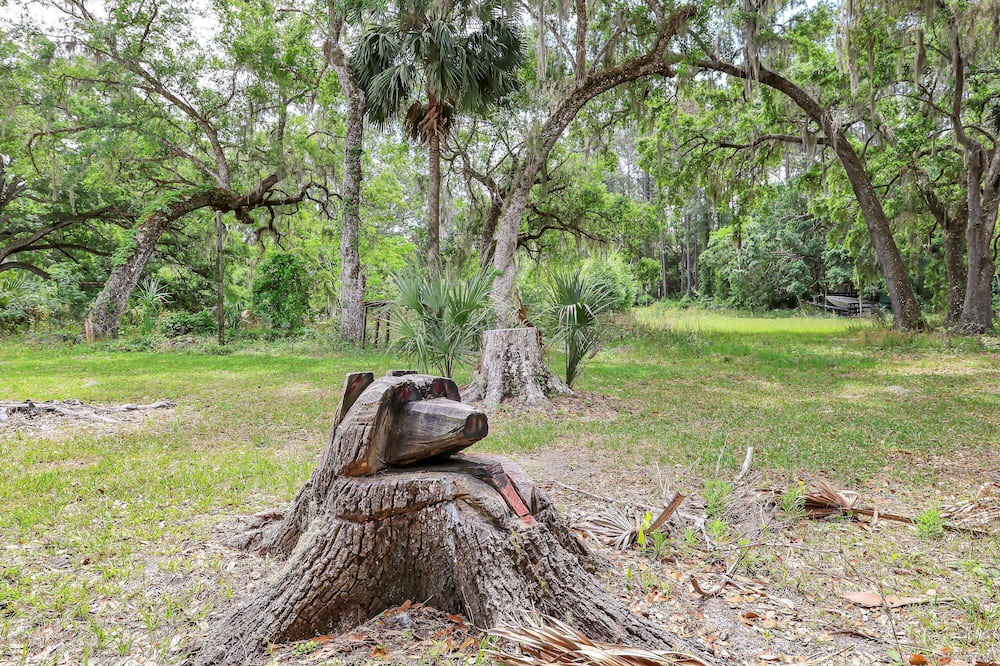 Photo of Outdoor in Ocklawaha