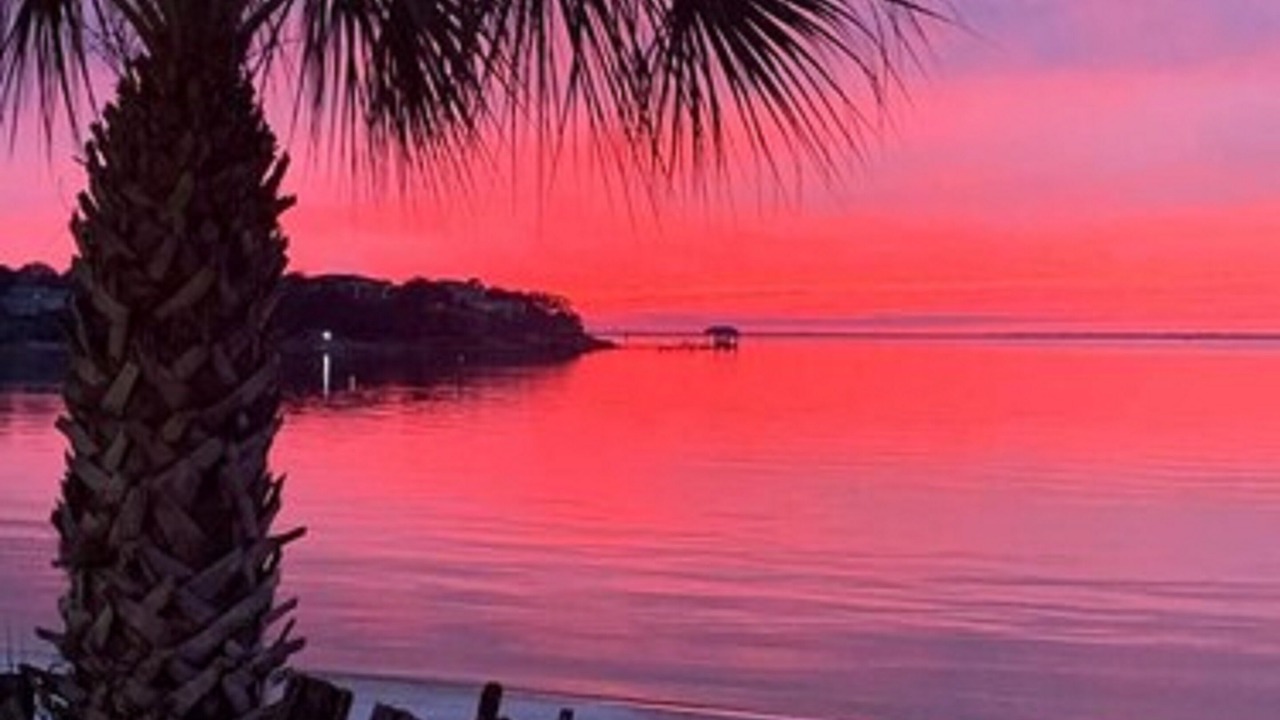 Photo of Outdoor in Pensacola