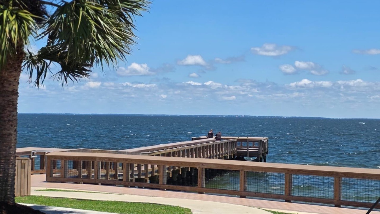 Photo of Others in Pensacola