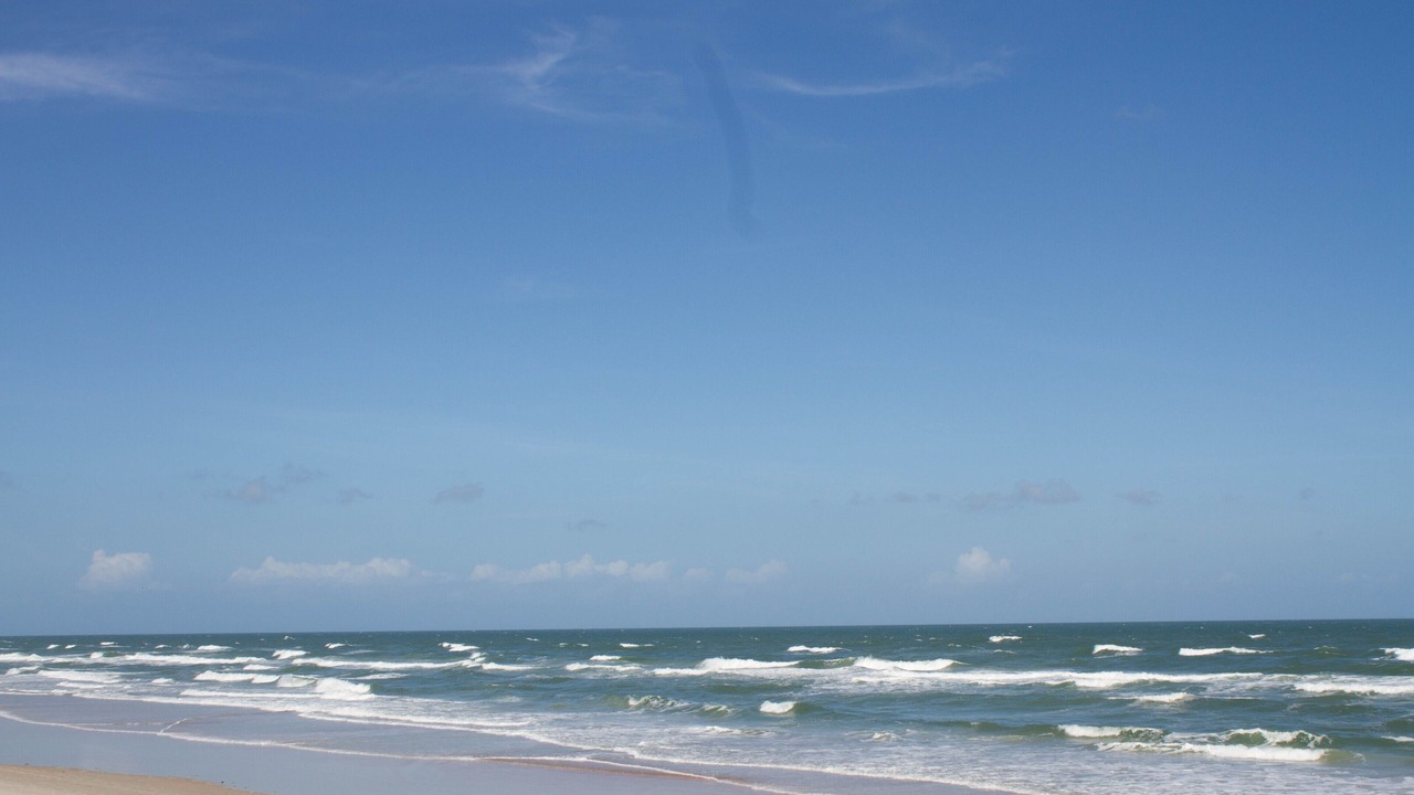 Photo of Others in Daytona Beach