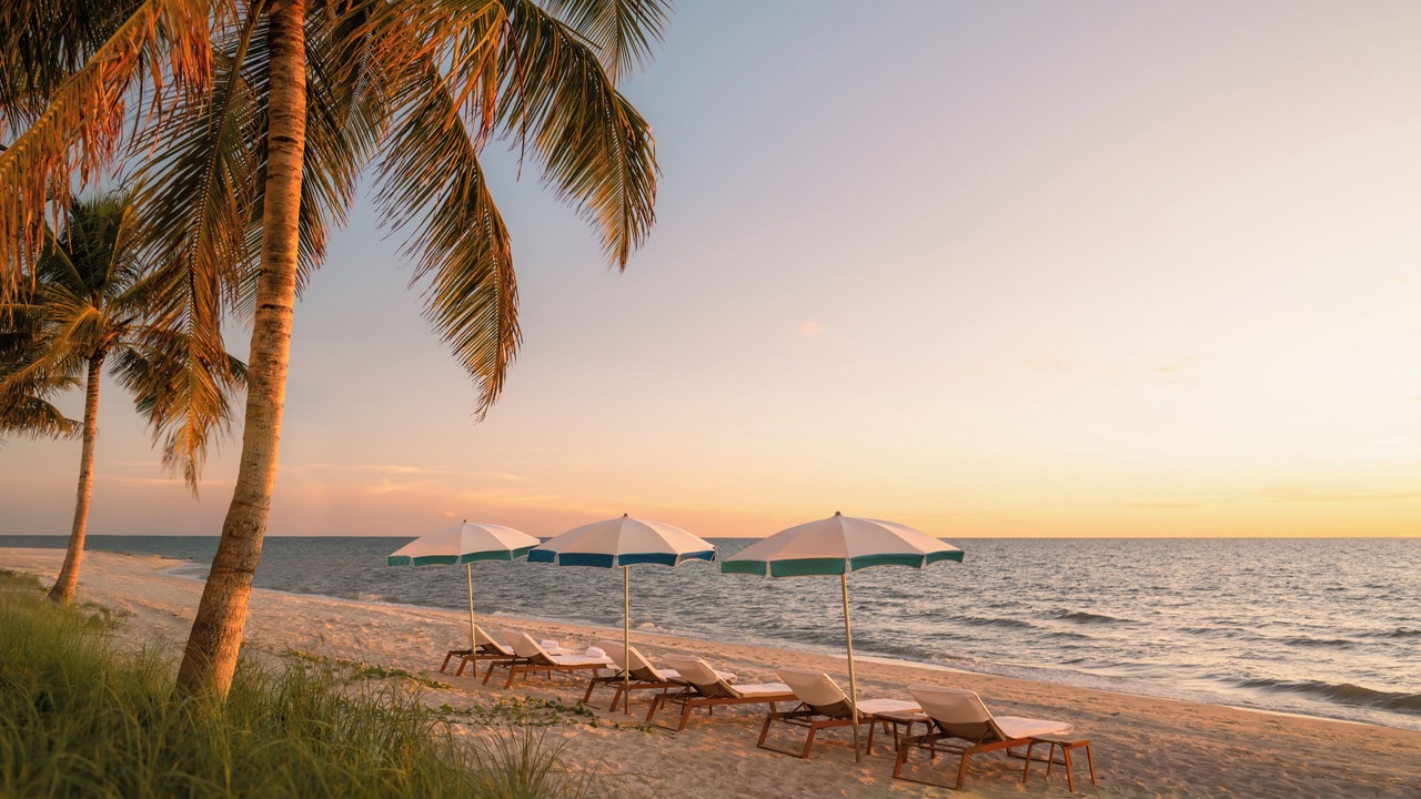 Photo of Others in Coquina Sands