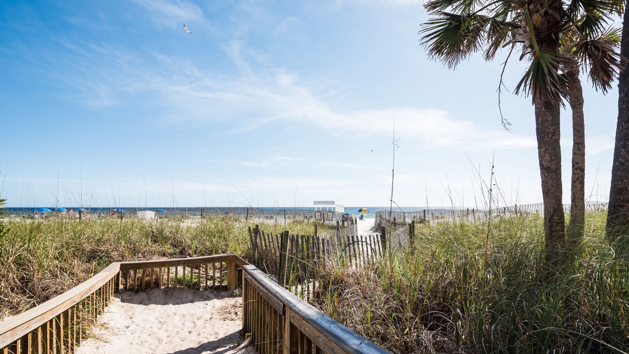 Photo of Outdoor in Panama City Beach