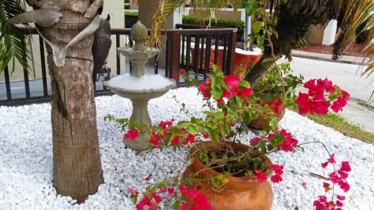 Photo of Outdoor in St. Augustine