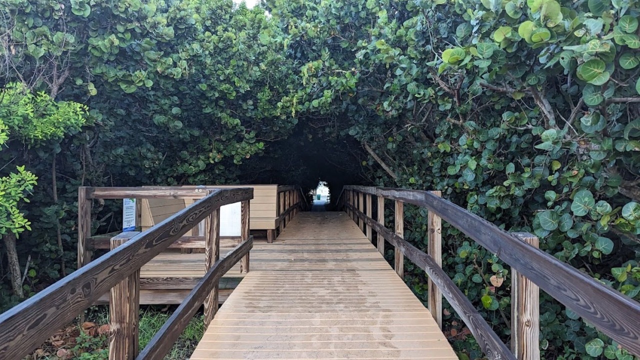 Photo of Outdoor in Harbor Heights