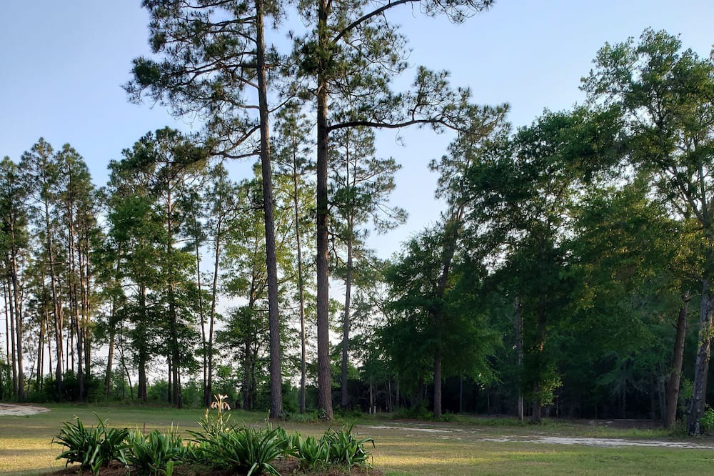 Photo of Outdoor in Rockledge