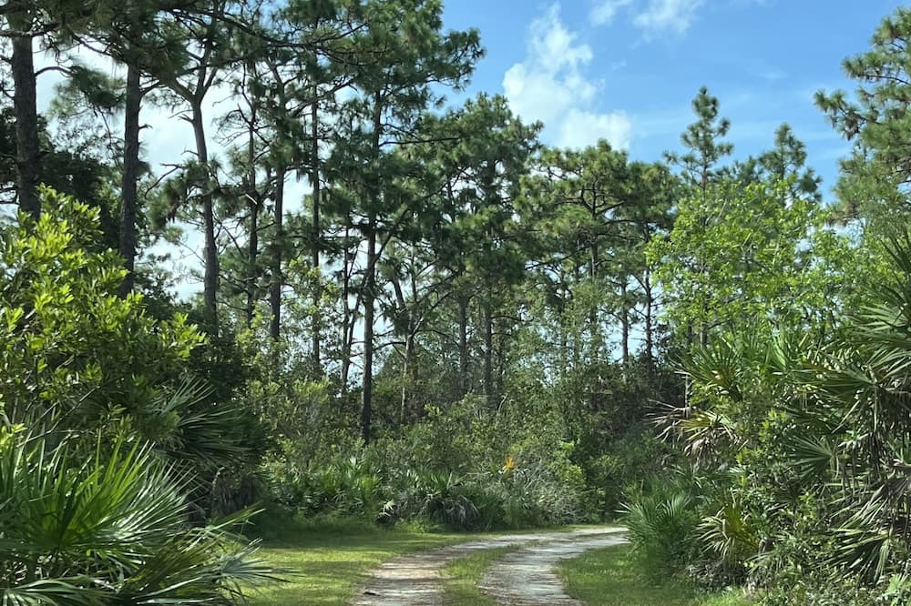 Photo of Outdoor in Wedgefield