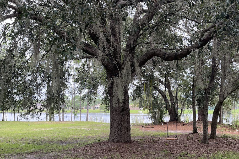 Photo of Outdoor in Wedgefield