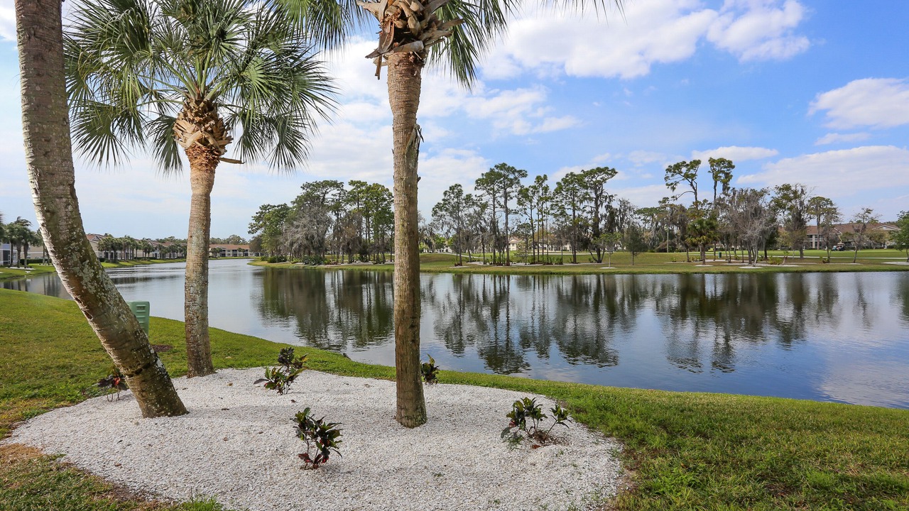 Photo of Outdoor in Sarasota