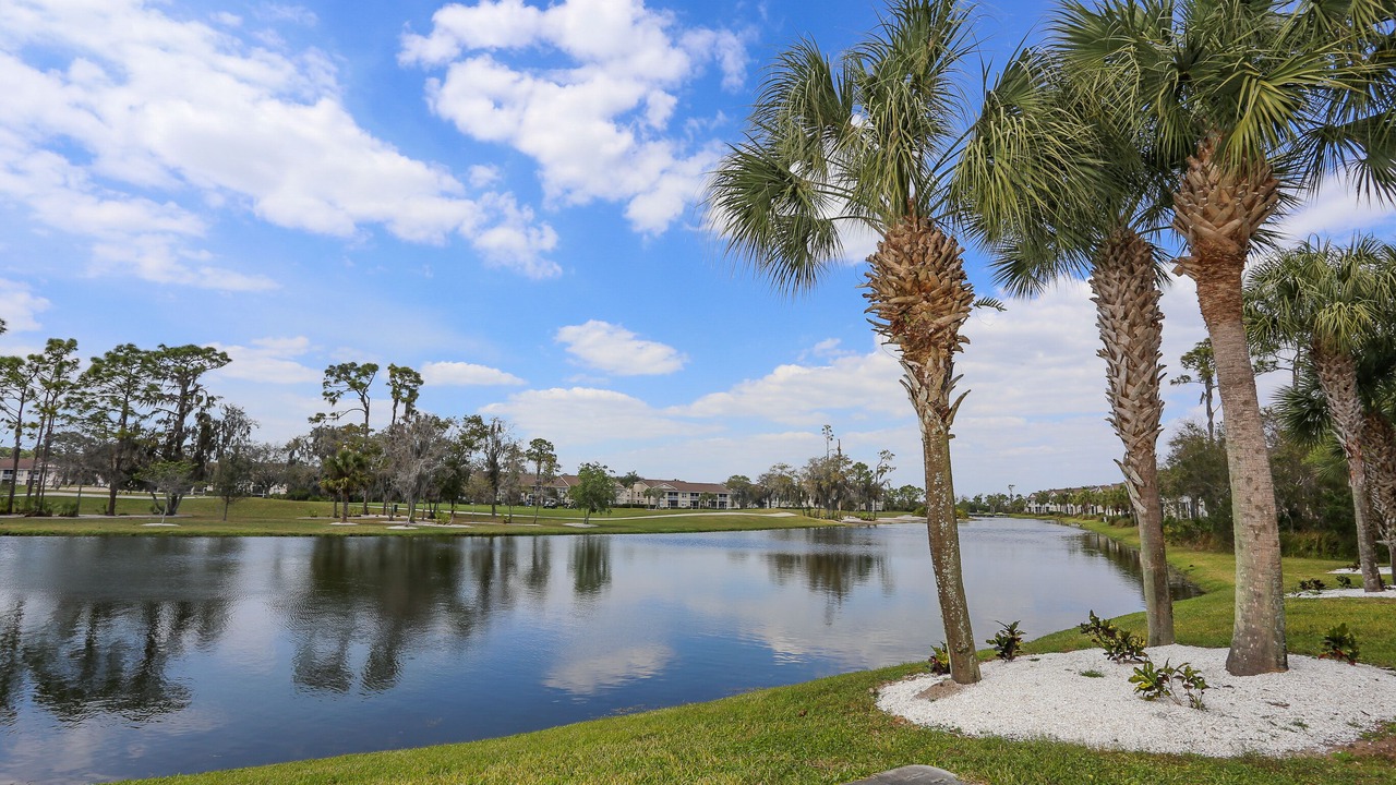 Photo of Outdoor in Sarasota