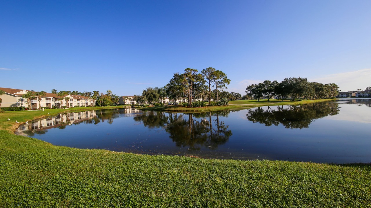 Photo of Outdoor in Sarasota