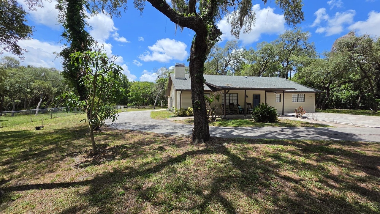 Photo of Outdoor in Port Richey