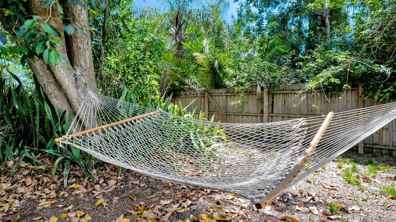 Photo of Outdoor in Sarasota