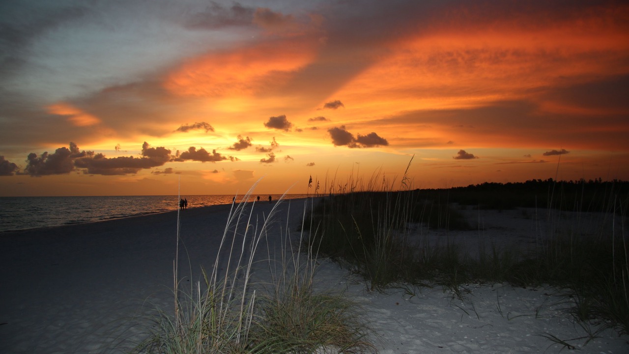 Photo of Others in Marco Island