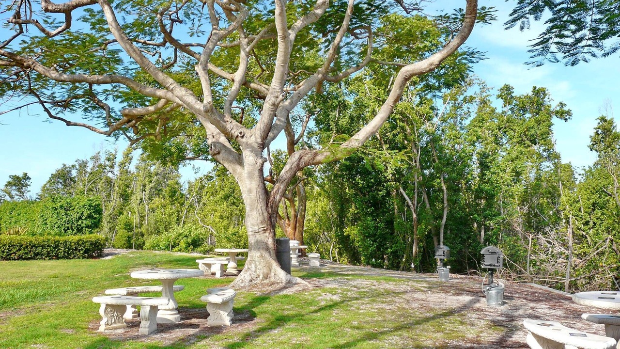 Photo of Others in Marco Island