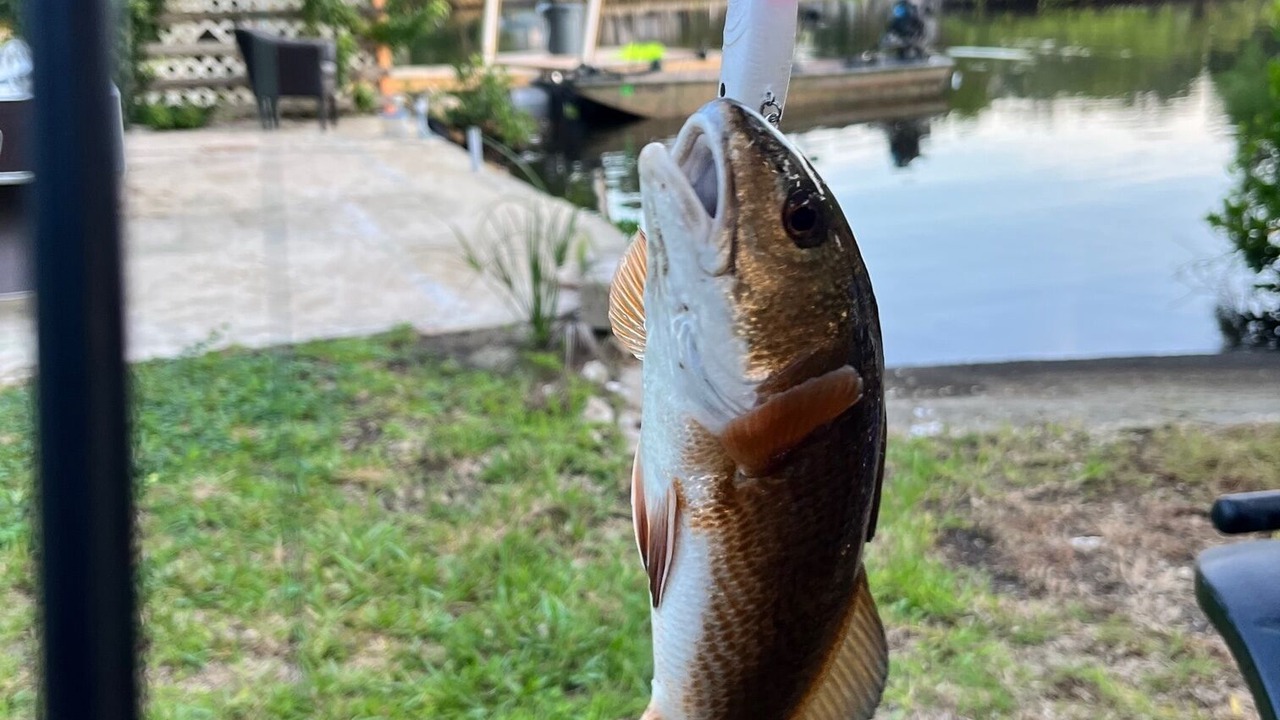 Photo of Others in Crystal River