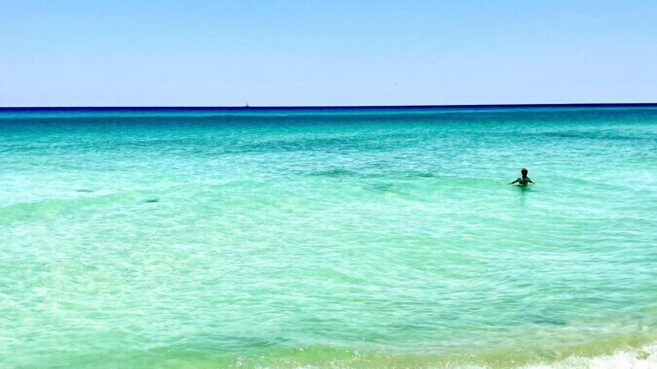Photo of Others in Gulf Place