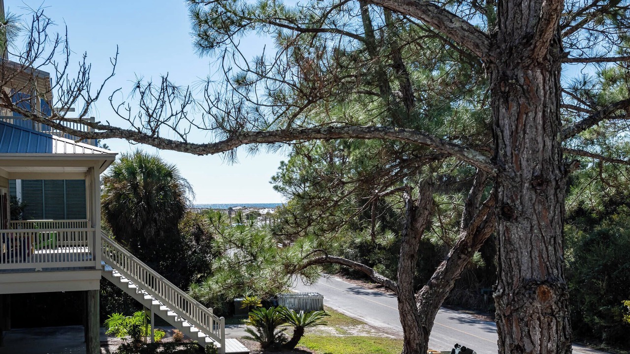 Photo of Outdoor in Grayton Beach