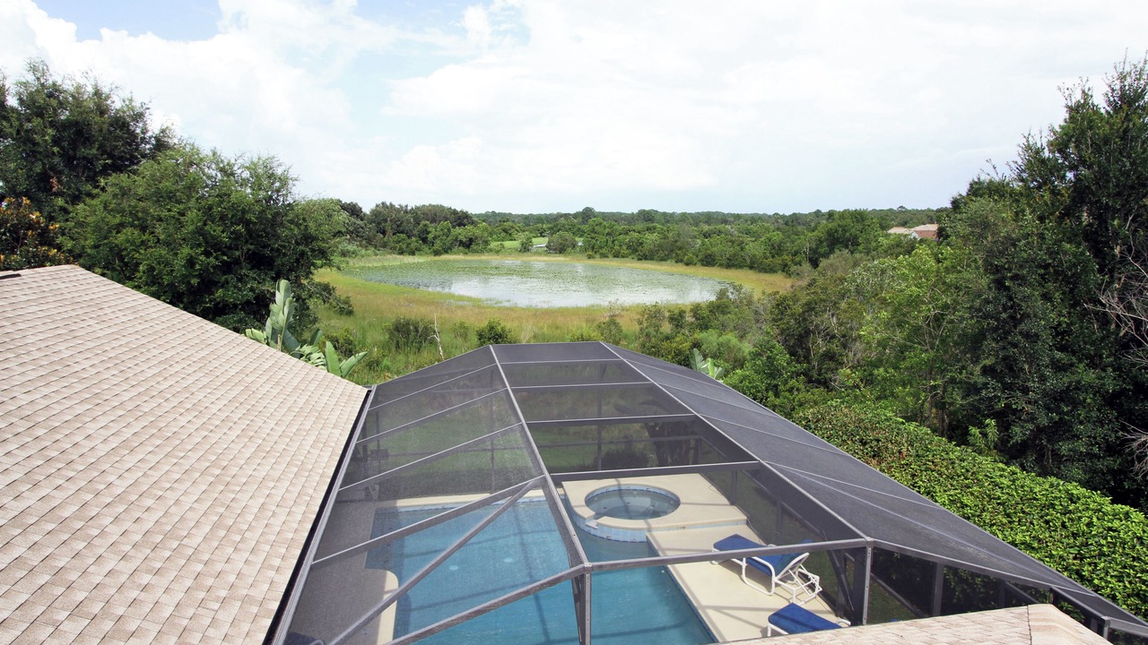 Photo of Outdoor in Orange Tree