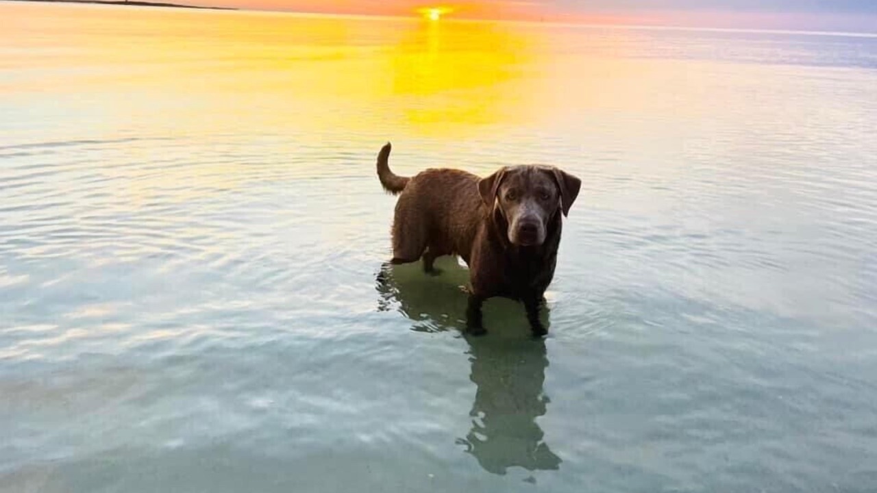 Photo of Others in Mexico Beach