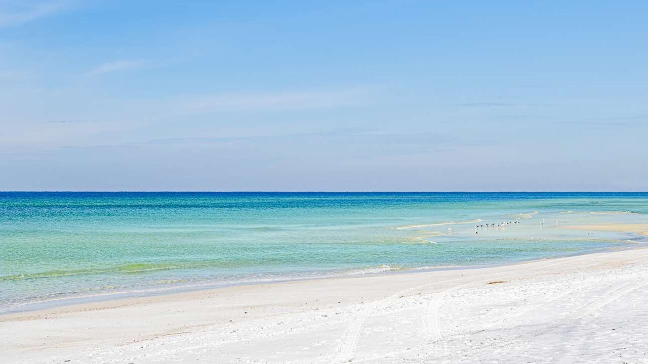 Photo of Others in Miramar Beach