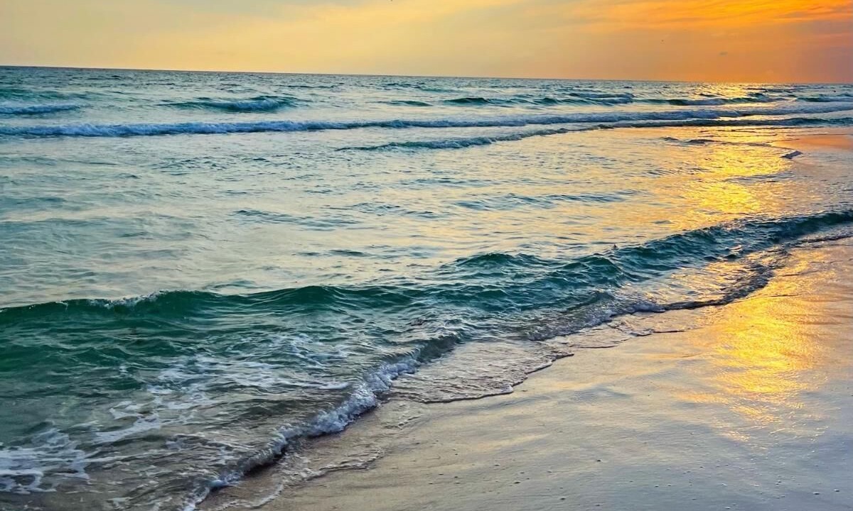 Photo of Others in West Panama City Beach