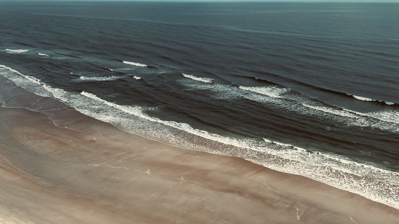 Photo of Others in Daytona Beach Shores