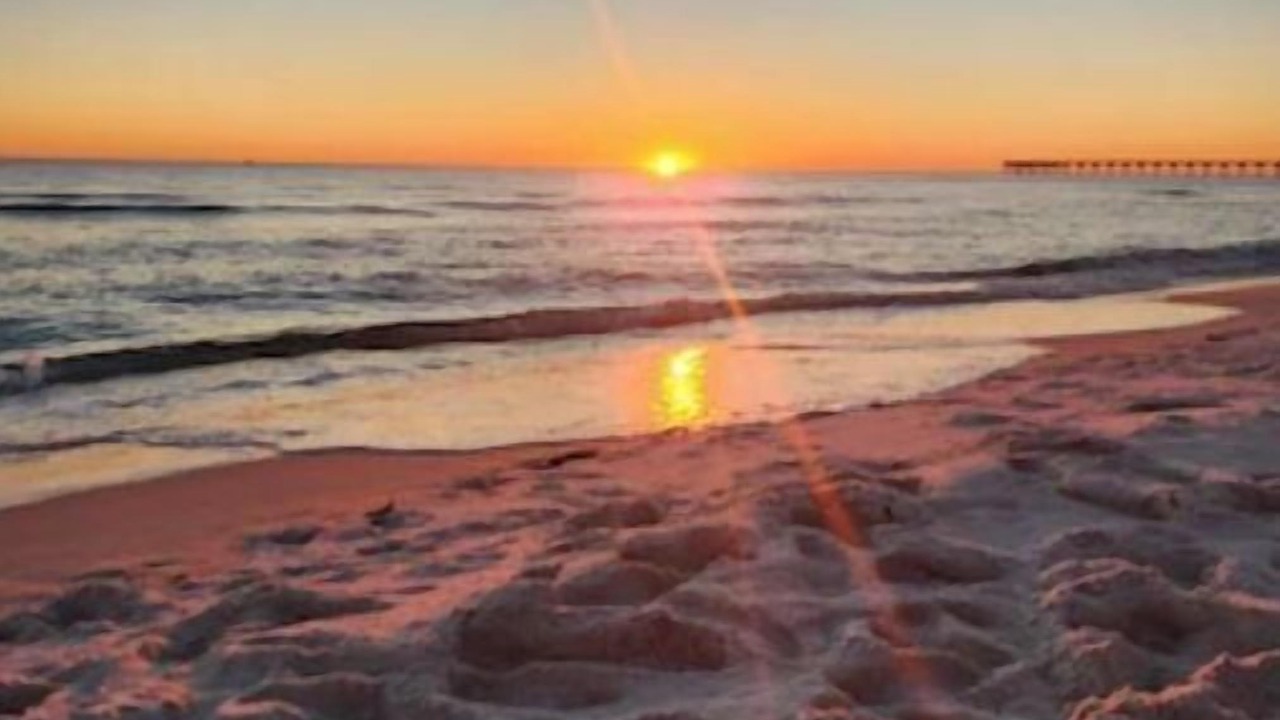 Photo of Others in Panama City Beach