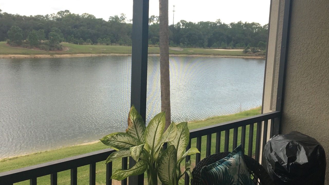 Photo of Outdoor in Lakewood Ranch