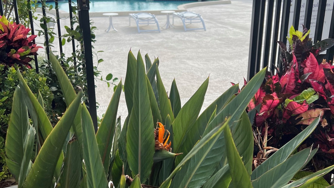Photo of Outdoor in Flamingo Parks