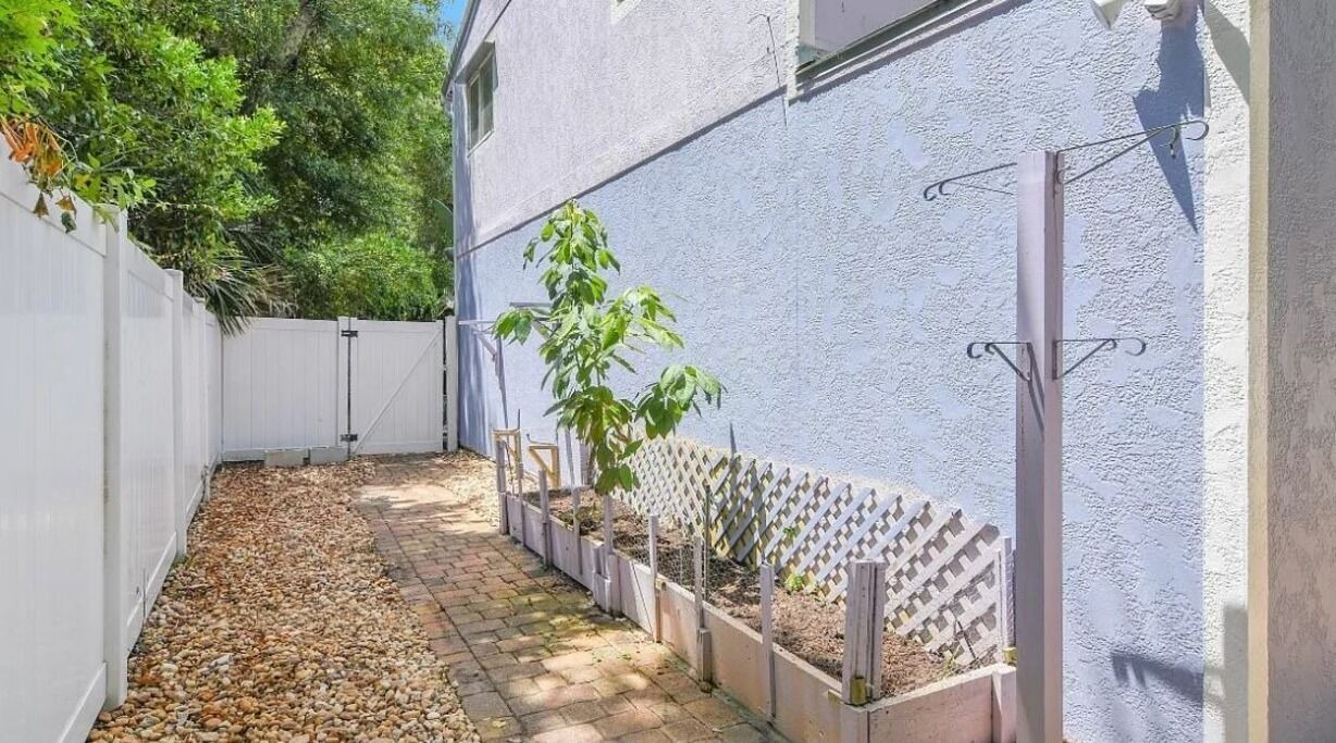 Photo of Outdoor in New Smyrna Beach