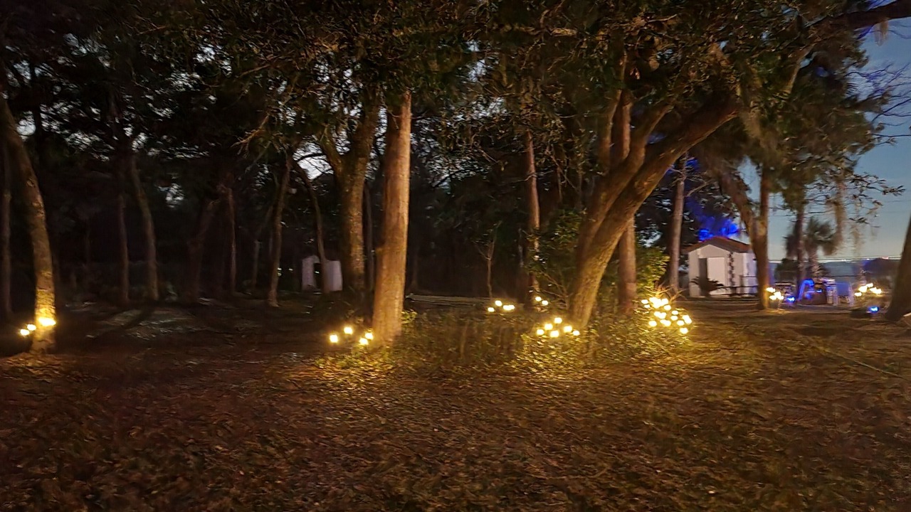 Photo of Outdoor in Freeport