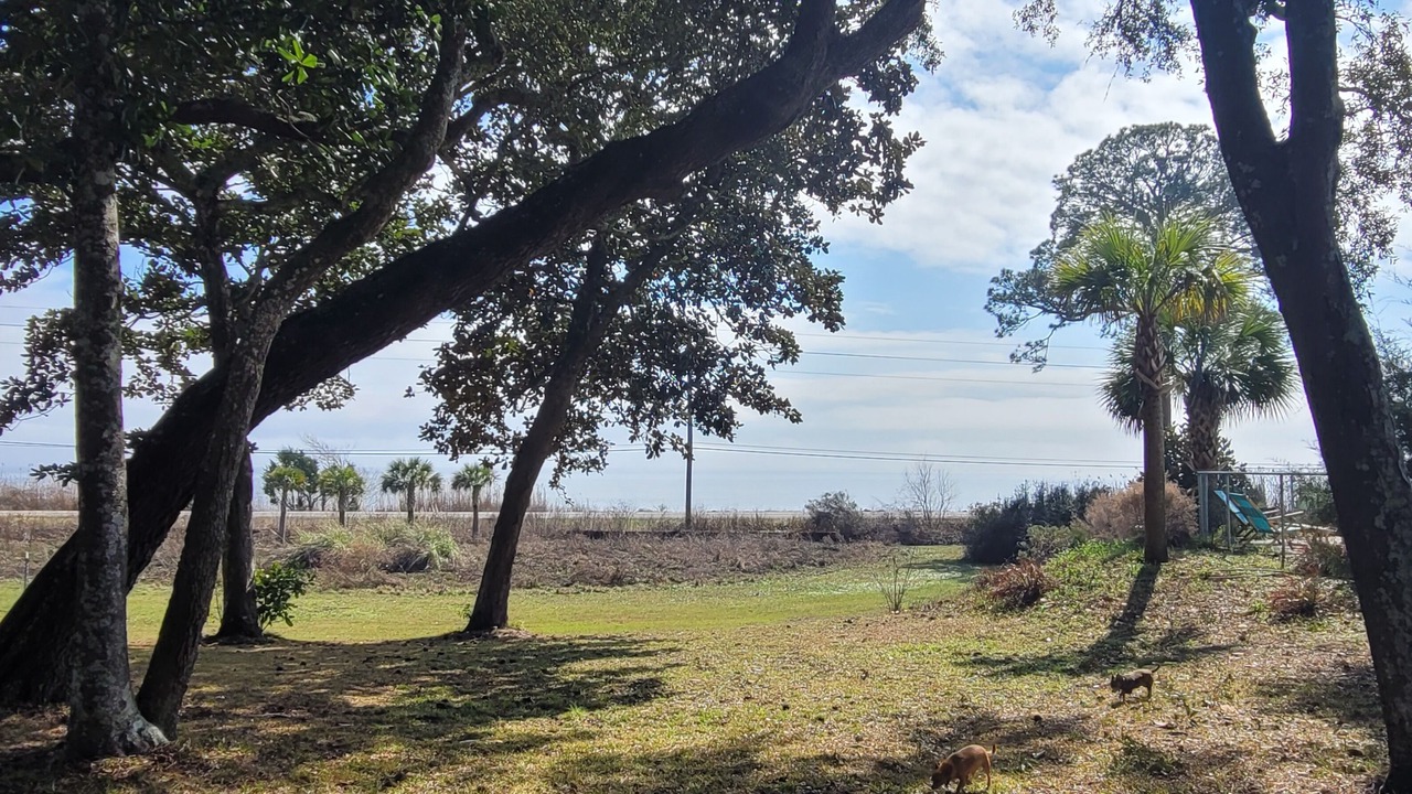 Photo of Outdoor in Freeport