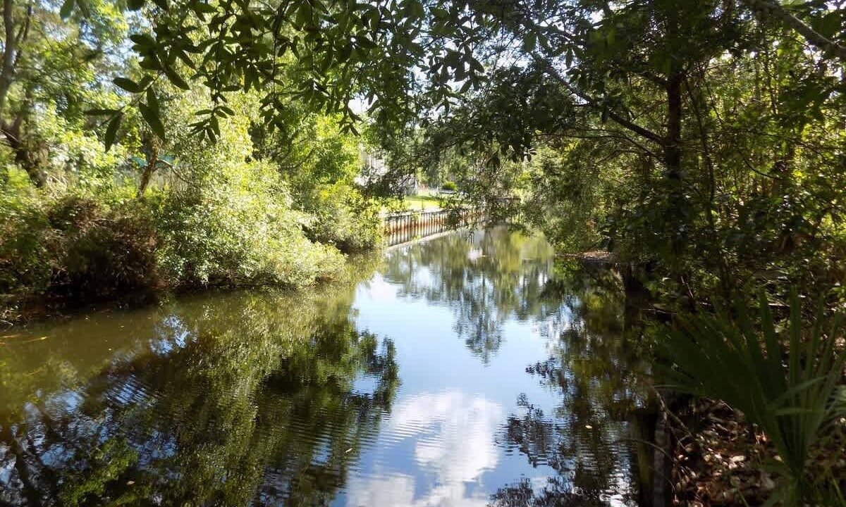 Photo of Others in Florida Panhandle