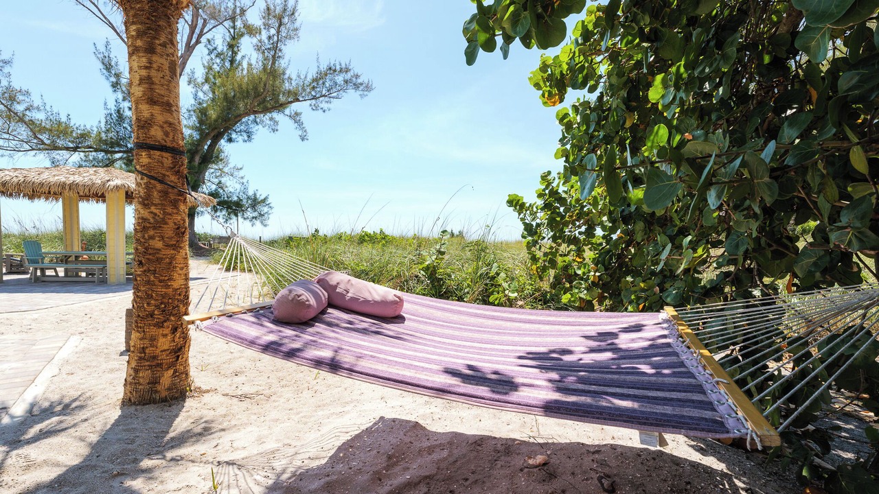 Photo of Outdoor in Nokomis