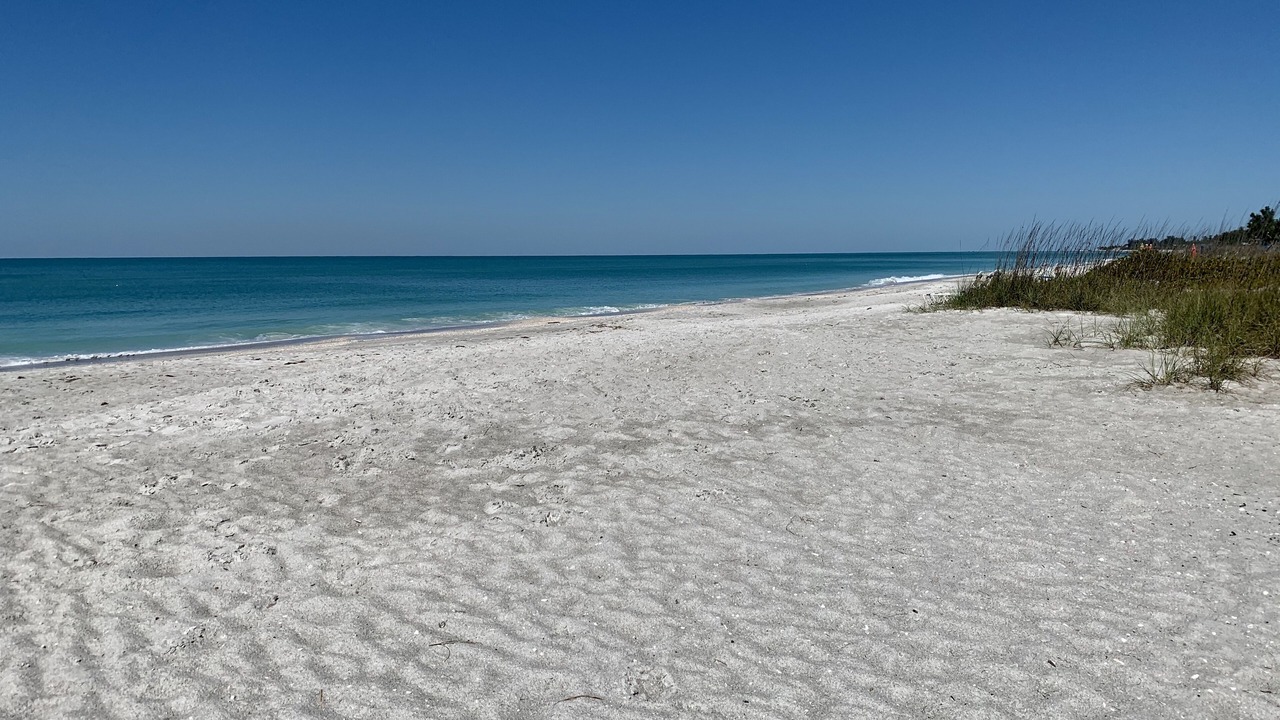 Photo of Others in Whitney Beach