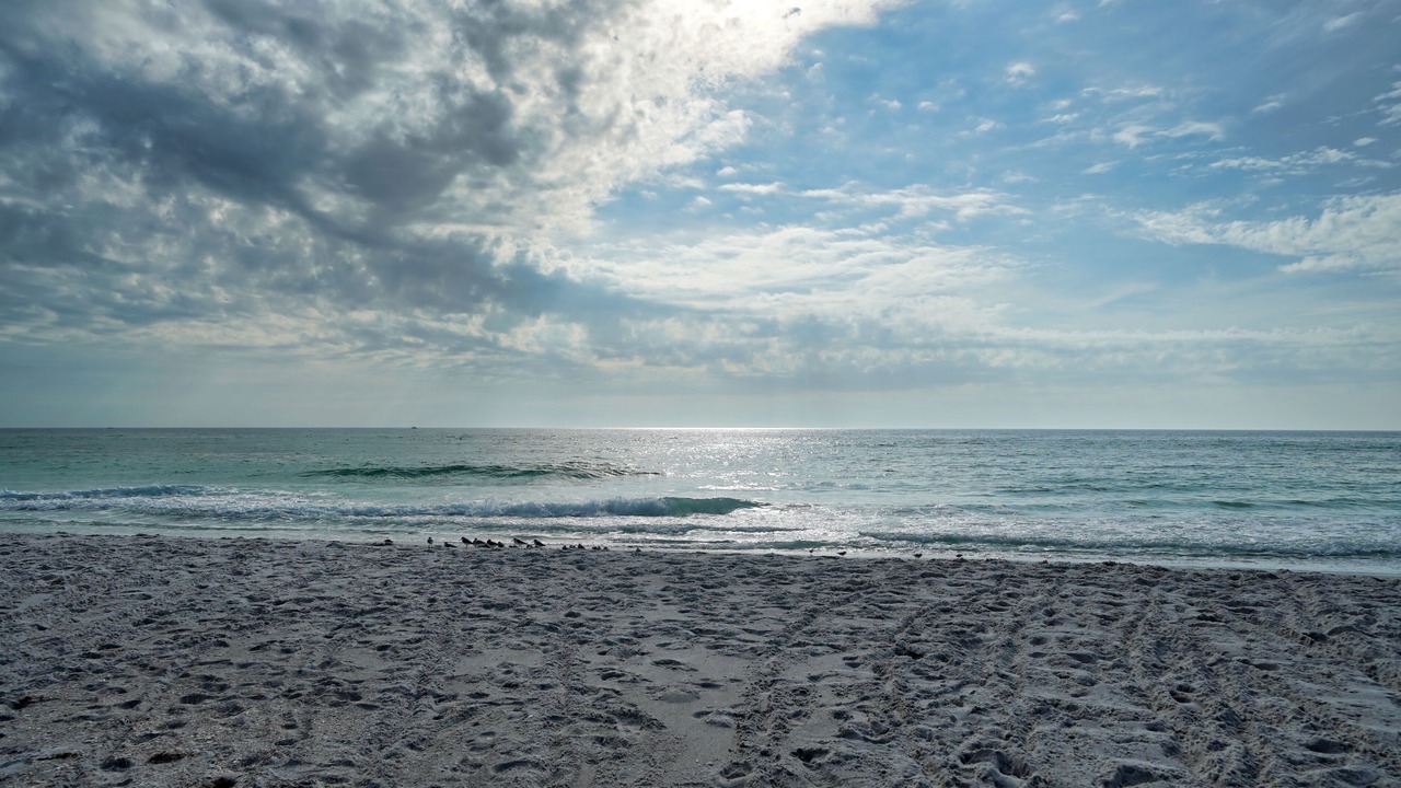 Photo of Others in Whitney Beach