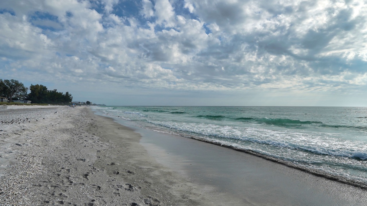 Photo of Others in Whitney Beach