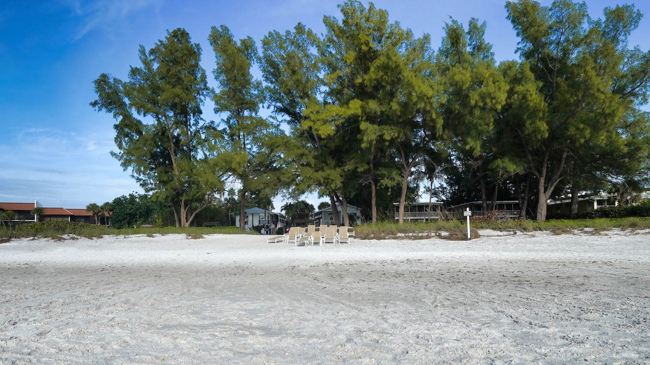 Photo of Others in Whitney Beach