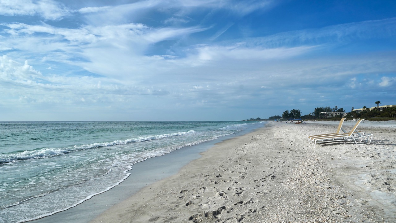 Photo of Others in Whitney Beach