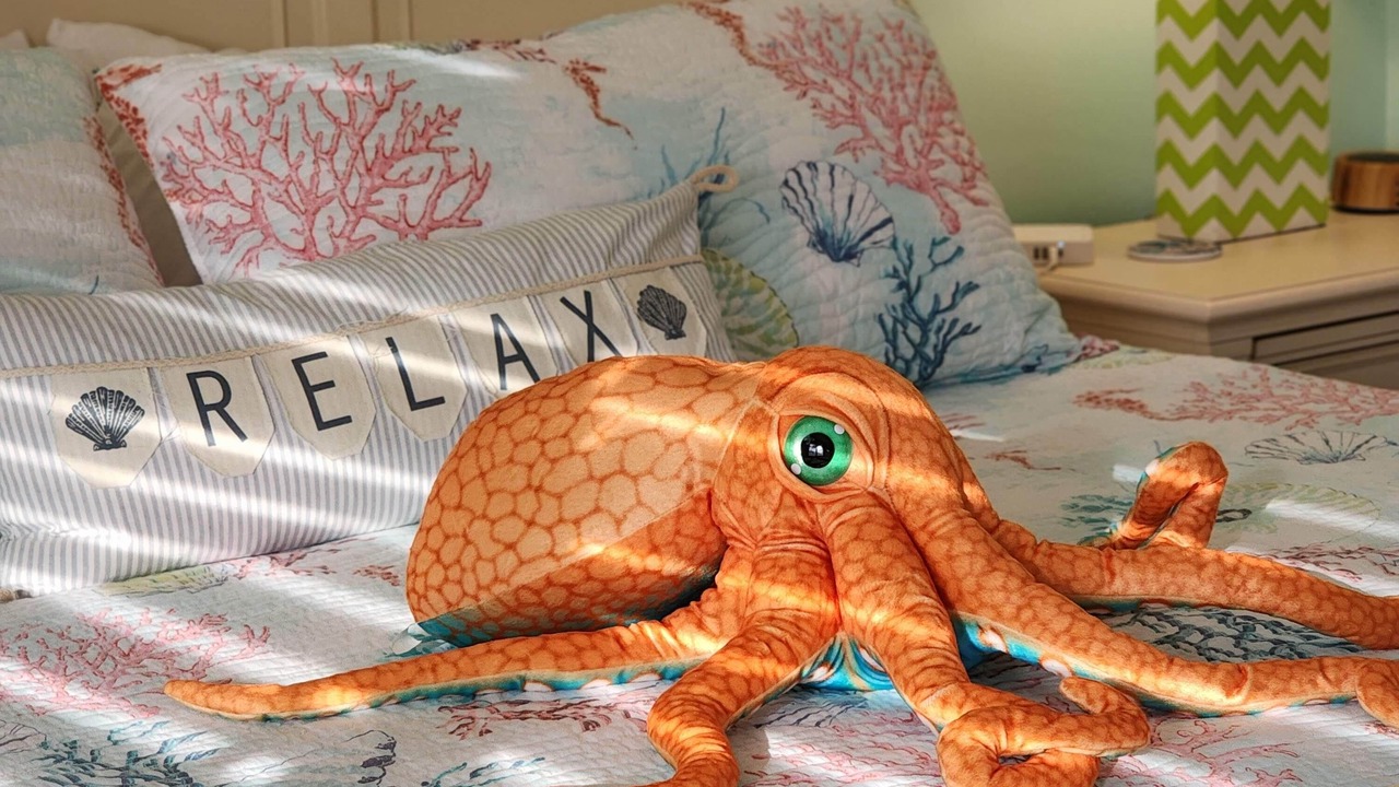 Photo of Bedroom in Caloosahatchee