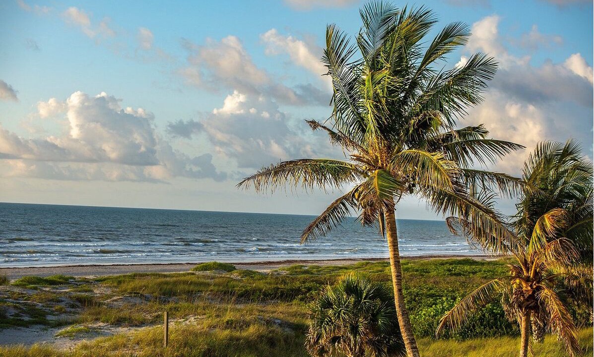 Photo of Others in Cocoa Isles