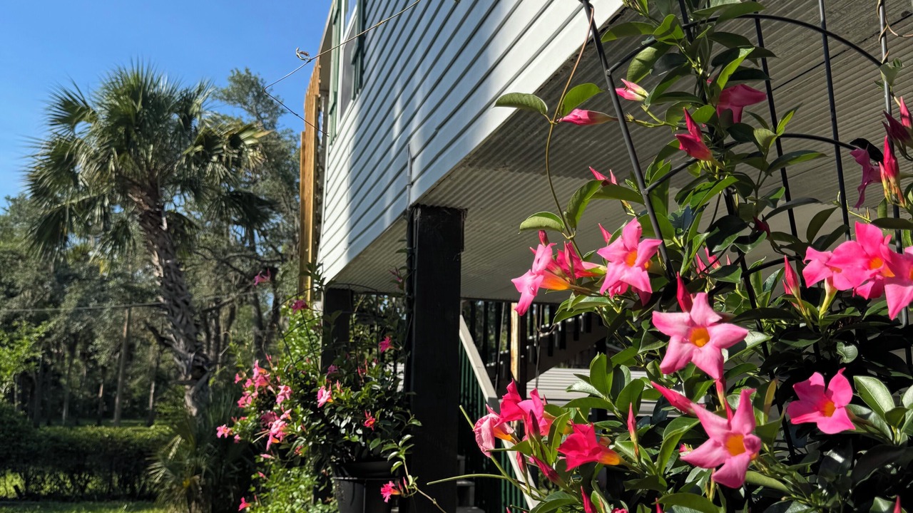 Photo of Outdoor in Steinhatchee